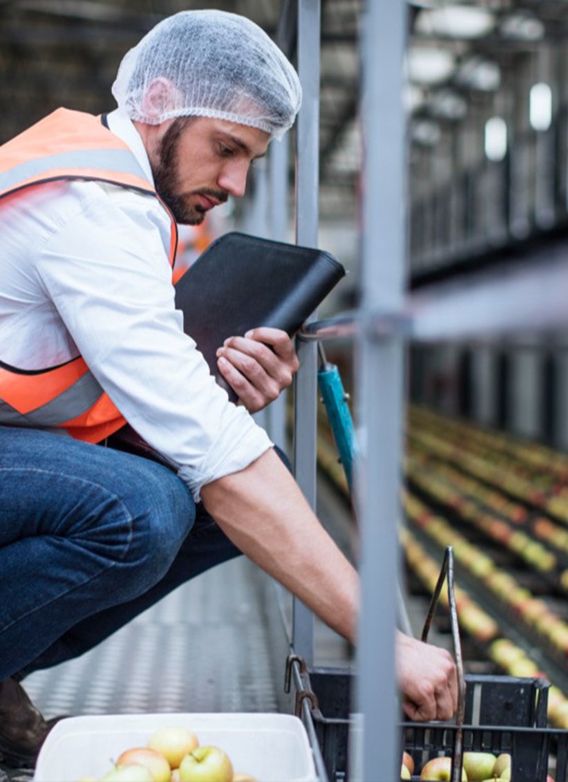 Quality inspector checking exported fresh produce to ensure compliance with UK and EU import standards.